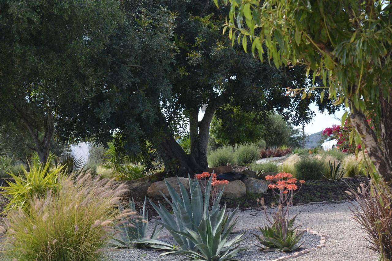 Quinta Luz Do Sol Bed & Breakfast Moncarapacho Eksteriør bilde
